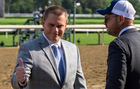 Rhyme Schemes - Horse Profile - BloodHorse