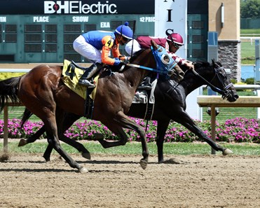 Berea - Horse Profile - BloodHorse