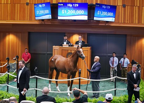 Pope buys Tapit colt for $2.1 million