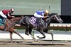 Noted #10 ridden by Jockey Jairo Rendon won the $200,000 Sapling for Two-Year-Old Colts at Monmouth Park Racetrack in Oceanport, NJ on Saturday August 26, 2023. Photo By Bill Denver/EQUI-PHOTO