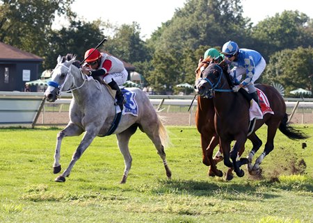 Horses compete on the grass at Parx Racing