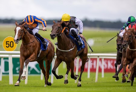 Opera Singer (left) was second to A Lilac Rolla in an August race at the Curragh