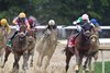 Idiomatic wins the 2023 Personal Ensign Stakes at Saratoga