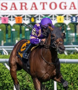 Tawny Port wins John's Call Stakes at Saratoga Race Course