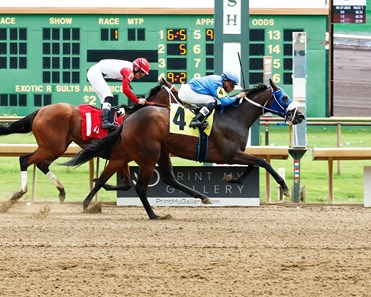Moon Magic Chrissy - Horse Profile - BloodHorse
