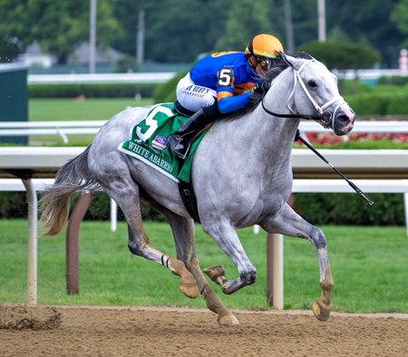 White Abarrio wins the 2023 Whitney Stakes at Saratoga Race Course