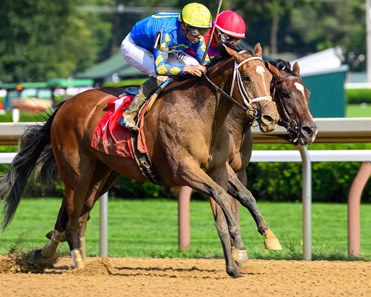 Caldwell Luvs Gold - Horse Profile - BloodHorse