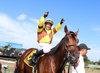 Whelen Springs Horse Profile BloodHorse