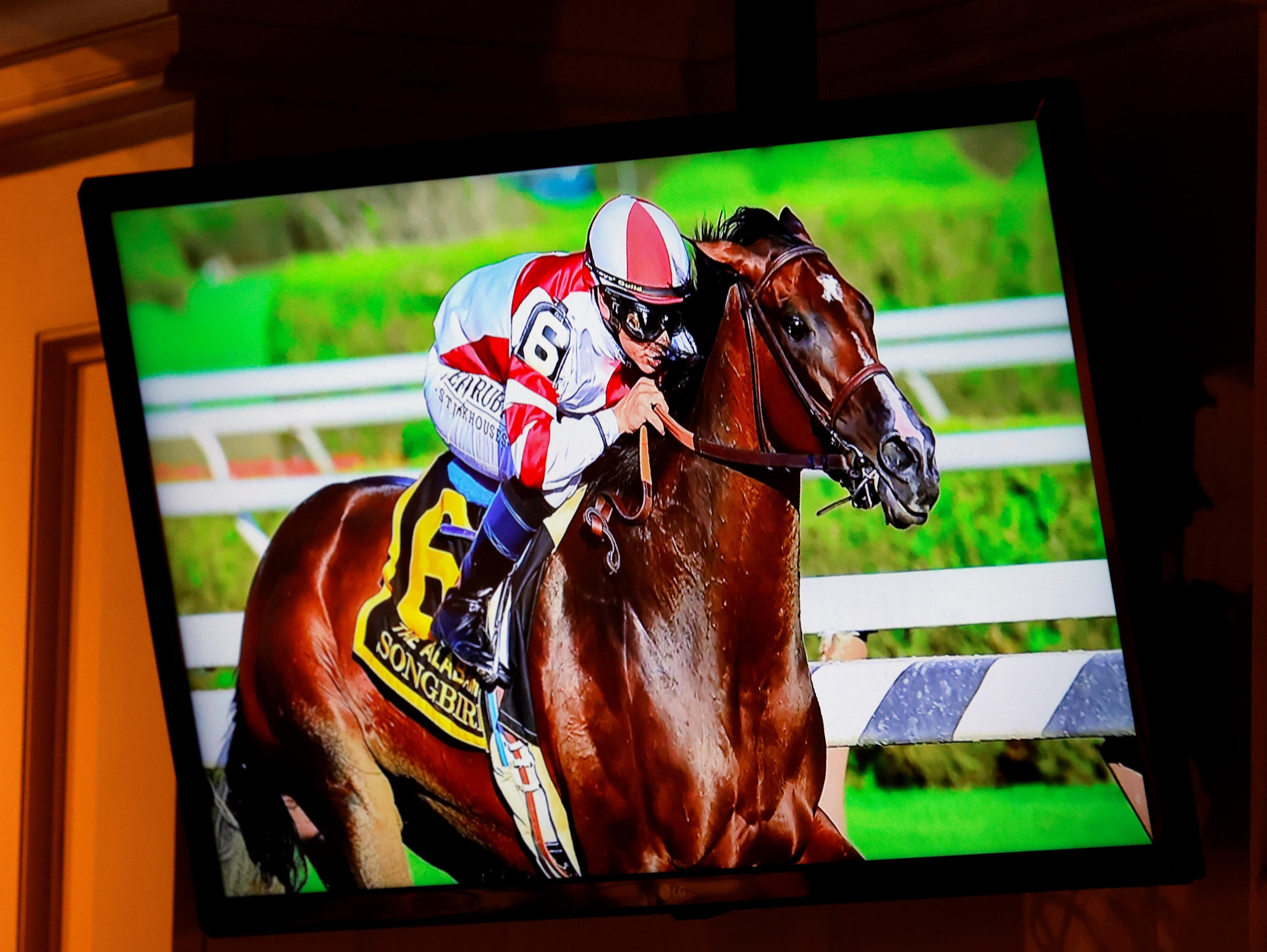 Hall Of Fame - Horse Profile - BloodHorse