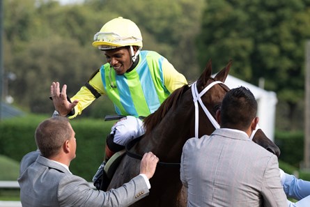 Rhyme Schemes - Horse Profile - BloodHorse