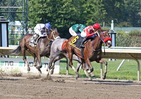 Gonzalez's Princess Indy Storms Sorority Stakes - Bloodhorse