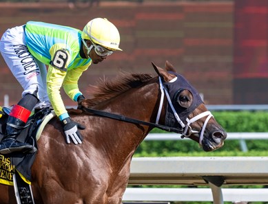 Rhyme Schemes - Horse Profile - BloodHorse