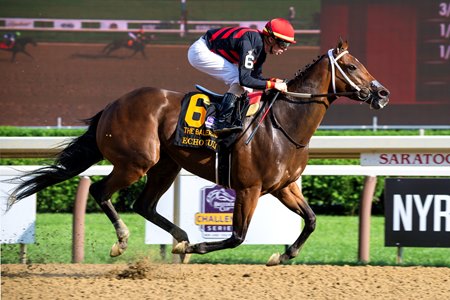 Echo Zulu wins the Ballerina Handicap at Saratoga Race Course