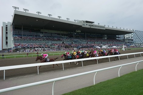 Sportsnet, Citytv Partner for King’s Plate Coverage