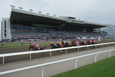 The field races in The King's Plate at Woodbine