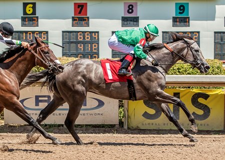 Norah G Tests Graded Stakes Competition in Dogwood - TrueNicks.com