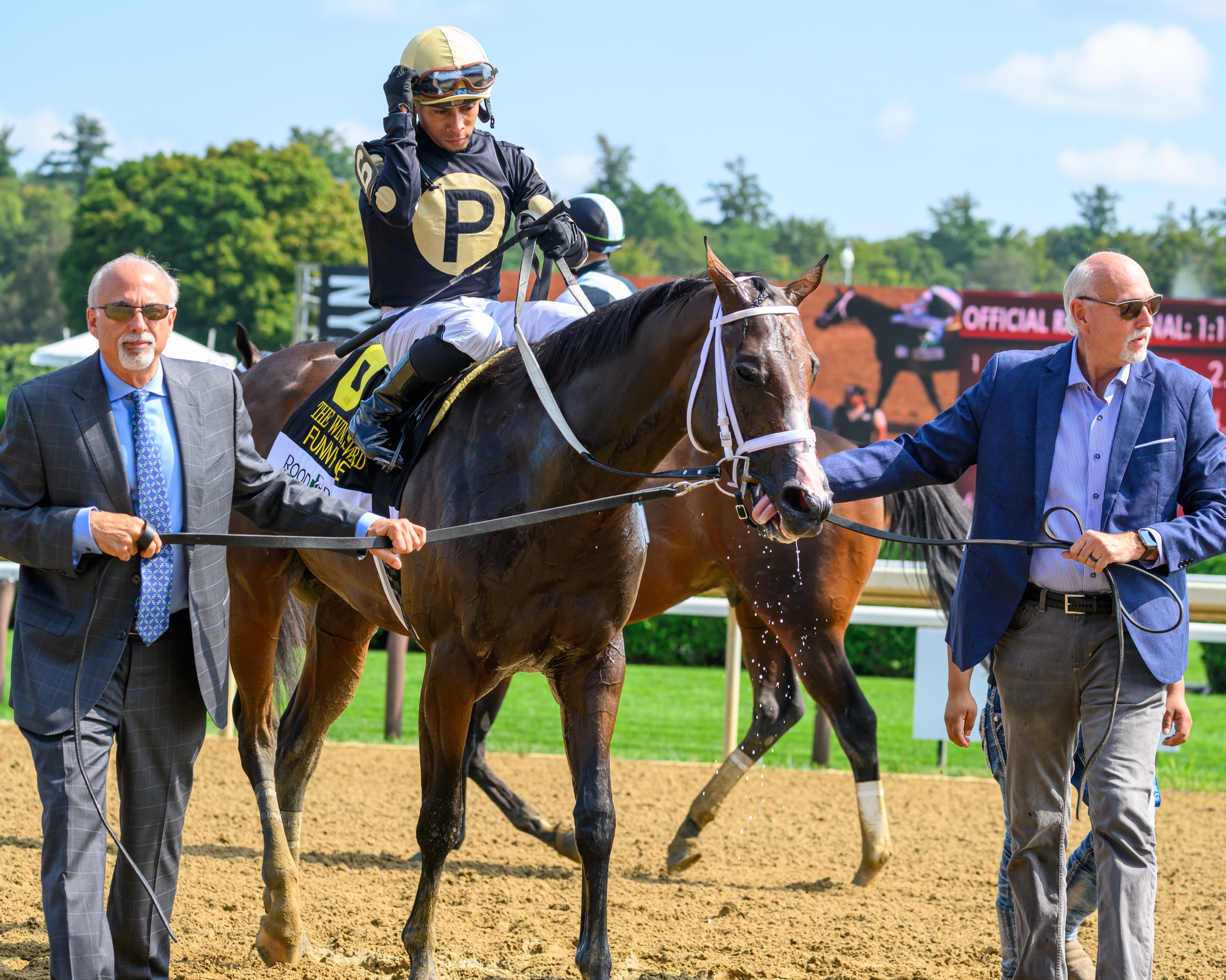 The Wine Steward to Fly NY-Bred Flag in BC Juvenile - BloodHorse