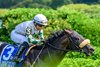 City Man with Joel Rosario wins the West Point Presented by Trustco Bank at Saratoga Race Course in Saratoga Springs, N.Y., on Aug. 27, 2023. New York Showcase of New York bred Thoroughbreds 





