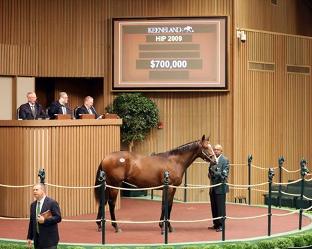 The Good Magic colt consigned as Hip 2009 in the ring at the Keeneland September Yearling Sale
