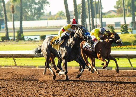 Racing at Los Alamitos Race Course