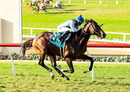 Boltage breaks his maiden Aug. 24 at Del Mar