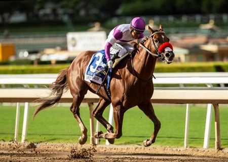 Slow Down Andy wins the Awesome Again Stakes at Santa Anita Park