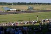 Persica (Pat Dobbs) wins the 1m nursery
Kempton 9.9.23 Pic: Edward Whitaker