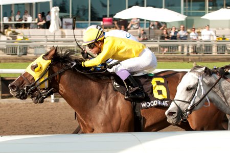 Patches O'Houlihan wins the Vigil Stakes at Woodbine
