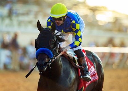 Prince of Monaco, who will stand at Claiborne Farm in 2025, wins the 2023 Del Mar Futurity at Del Mar