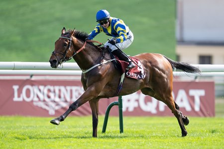 Trueshan wins the 2023 Prix du Cadran at ParisLongchamp