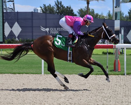 Pardy Pleaser wins at Gulfstream Park to give Rogueish his first winner