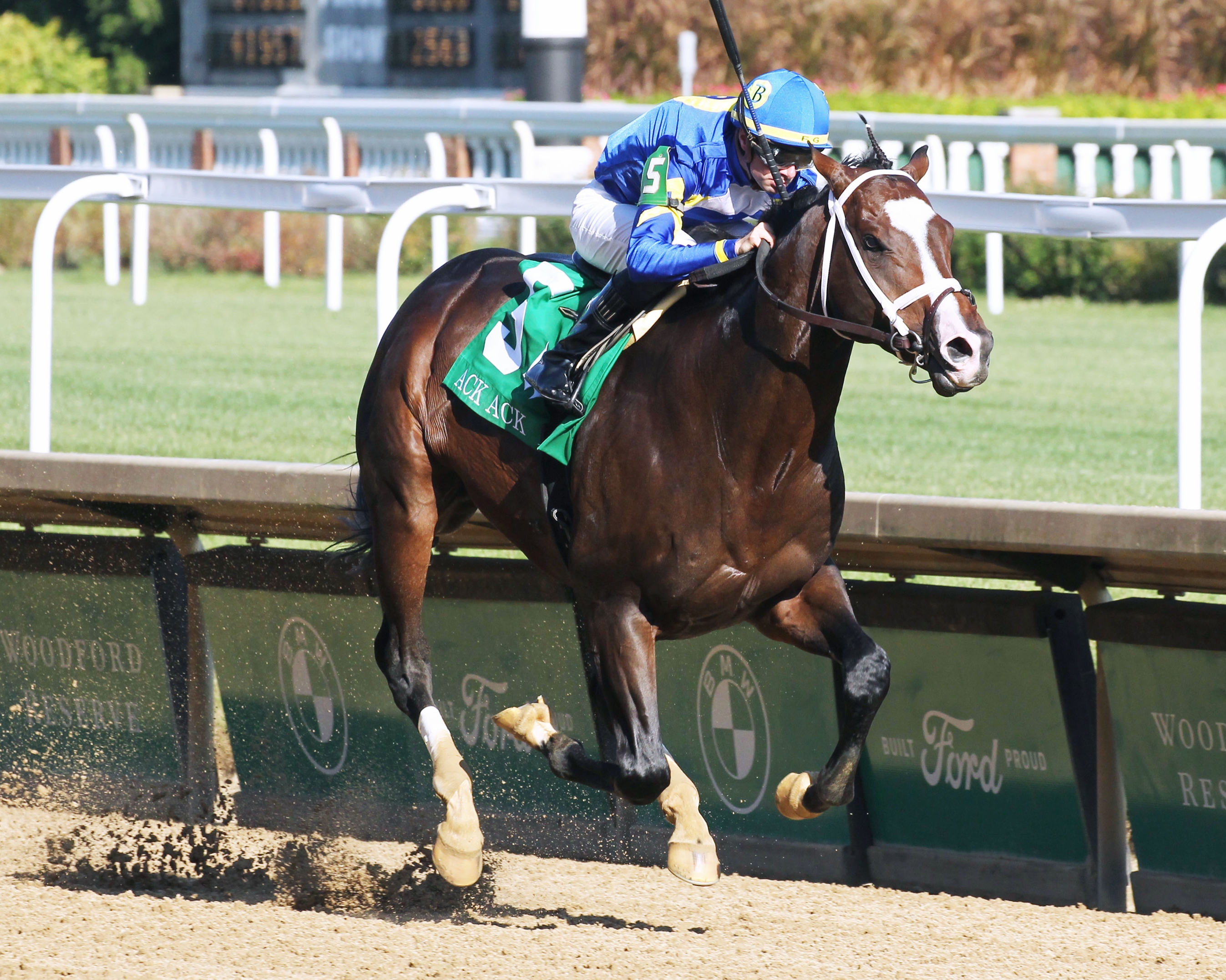 Zozos - Horse Profile - BloodHorse