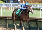 Zozos wins the Ack Ack Stakes on Saturday, September 30, 2023 at Churchill Downs