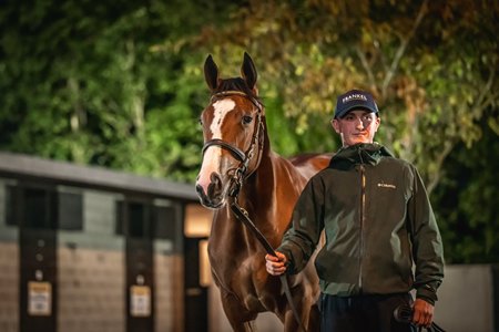 Minnie Hauk at the 2023 Goffs Orby Book 1 Sale