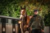 Lot 525, 2023 Goffs Orby Sale