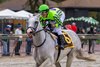 Next wins the 2023 Greenwood Cup Stakes at Parx Racing