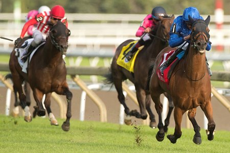 Master of The Seas wins the Woodbine Mile at Woodbine 