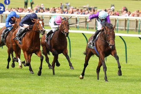 Ghostwriter wins the Royal Lodge Stakes at Newmarket