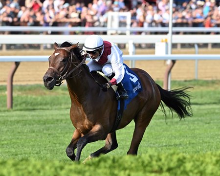 Thin White Duke wins the Harvey Pack Stakes at Saratoga Race Course