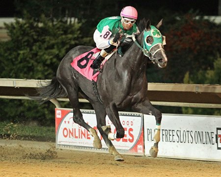 Direct the Cat wins the Rachel's Turn Stakes at Charles Town