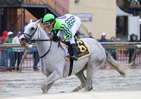 Next wins the 2023 Greenwood Cup at Parx Racing