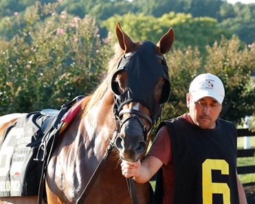 Anglophile - Horse Profile - BloodHorse