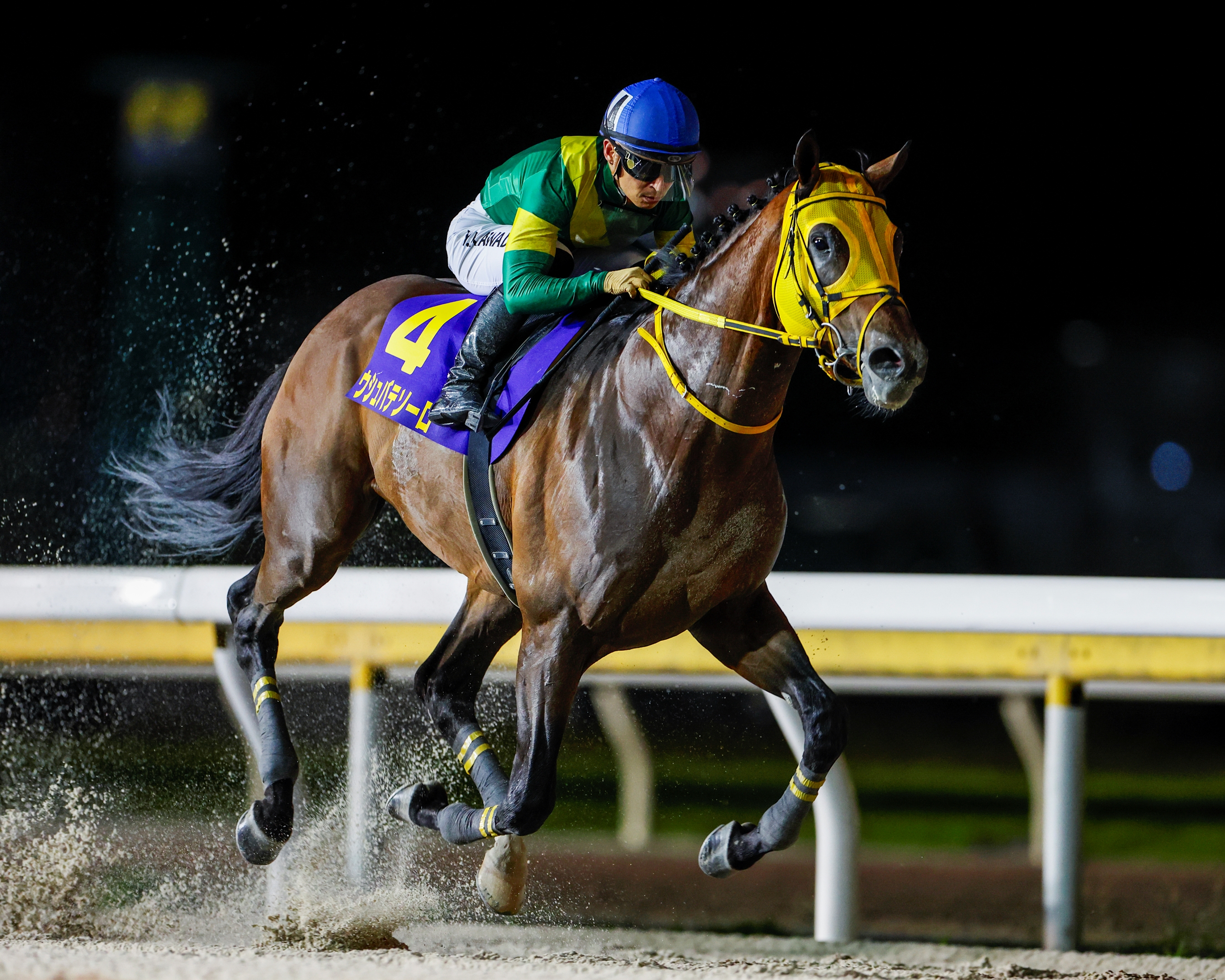 World Cup Winner Ushba Tesoro Wins Breeders' Cup Prep - BloodHorse