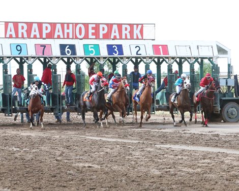 Ruston Named Executive Director of Arapahoe Park - BloodHorse