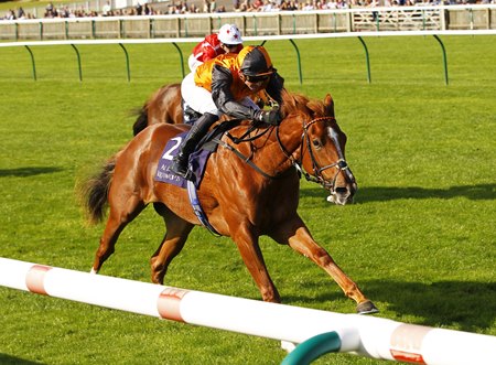 Carla's Way wins the Rockfel Stakes at Newmarket 