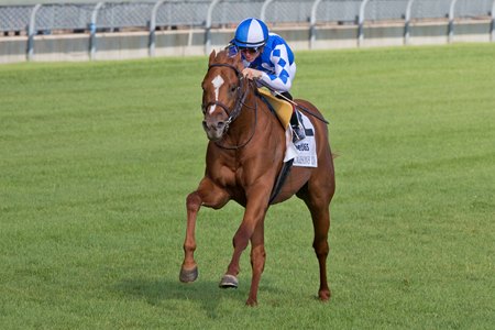 Carson's Run wins the Summer Stakes at Woodbine