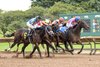 Canigetaloan wins the Aspirant Stakes on Monday, September 25, 2023 at Finger Lakes