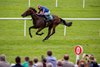 Henry Longfellow and Ryan Moore winning the Gr.1 Vincent O’Brien National Stakes. The Curragh.
Photo: Patrick McCann/Racing Post
10.09.2023