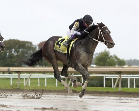Damon's Mound splashes to victory in the Gallant Bob Stakes at Parx Racing