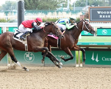 Informed Patriot - Horse Profile - BloodHorse